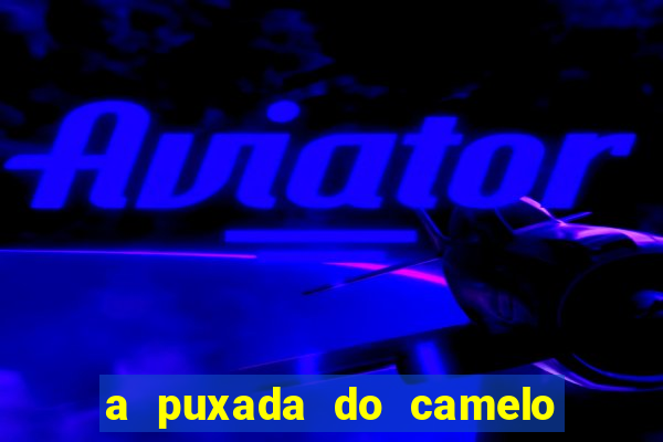 a puxada do camelo no jogo do bicho